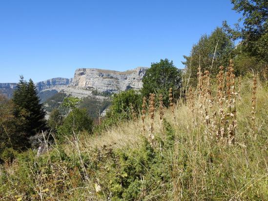 Les remparts de Font d'Urle vus depuis Font Payanne