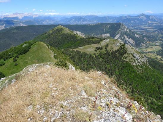 Au bout du bout de la montagne de l'Aup avec le Dévoluy à l'horizon