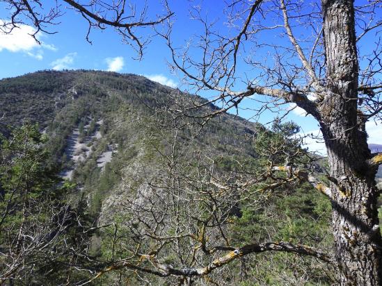 Depuis le parking de Chamateuil, vue sur la montagne de Robion