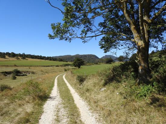 Descente du col de Comberoufle vers Les Coquins