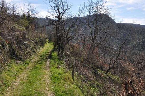 Vue sur le volcan de la Chirouse sur le chemin entre La Pizette et le col du Muret