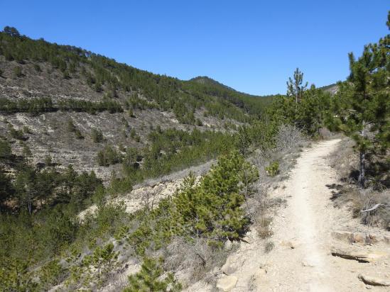 Sur le sentier de descente vers le fond du thalweg du ruisseau de Charsac