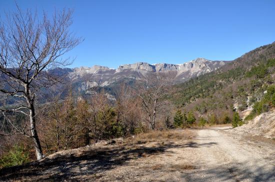 Dans les pentes E du But Saint-Genix sur le chemin de retour au parking des Tourtres