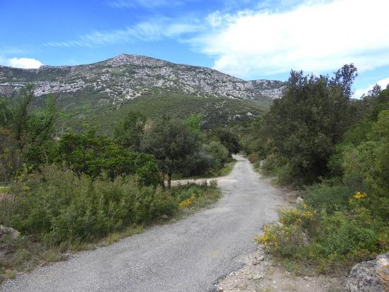 Sur la piste au lieu-dit Le Pontel