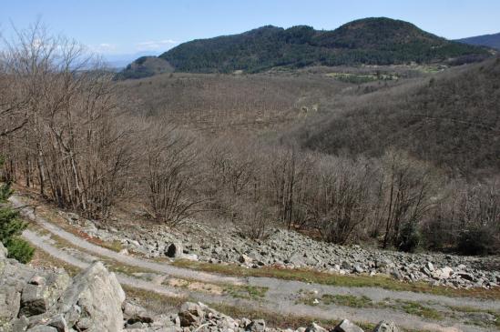 A l'approche du col de l'Escrinet, on traverse une belle coulée de basalte au coeur du Bois de la Faye