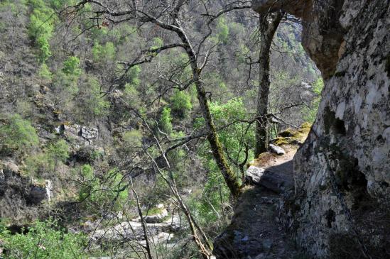 Descente le long du ruisseau du Glo depuis Péaillères