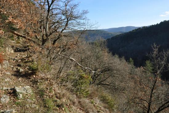 Sur le sentier-balcon entre Vabre et Le Femeil