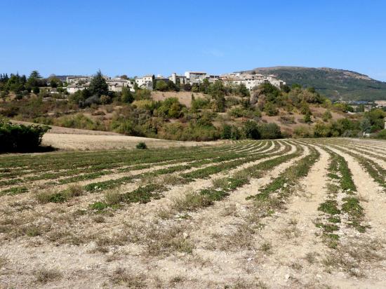 Retour vers Cruas avec une dernière vision de Saint-Vincent-de-Barrès depuis Tinteron