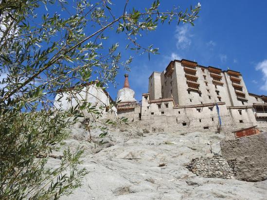 Leh Royal Palace