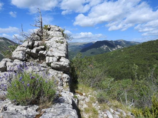 Sur la crête du Ranc de Besson