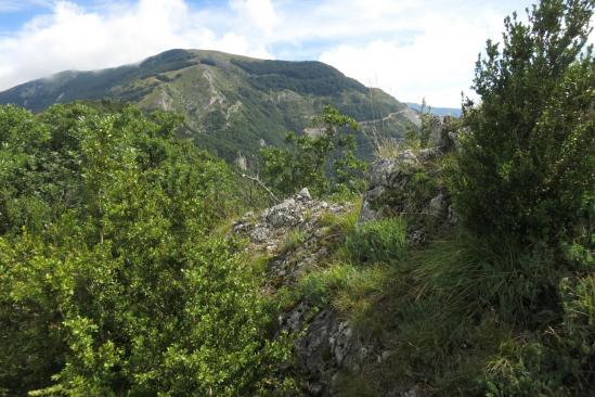 La Tête de la Dame vue depuis le col des Teulières