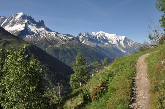 Aiguille Verte et Mont-Blanc vus depuis le sentier des Posettes