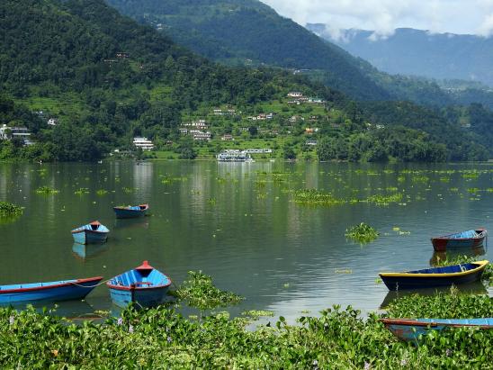 Pokhara (Phewa tal)