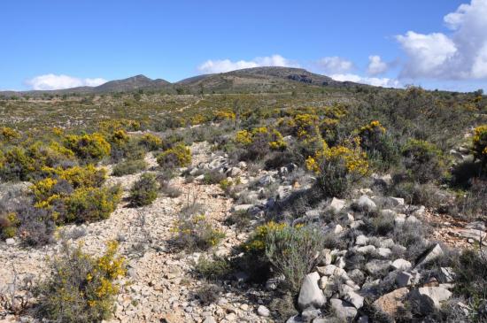 Le plateau au-dessus d'Imouzzer