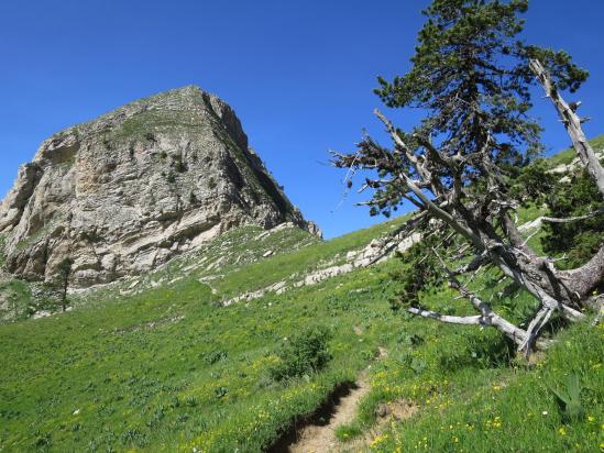 A l'approche du col de Plate Contier