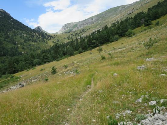 Le col de Seysse vu depuis le vallon de Lachau