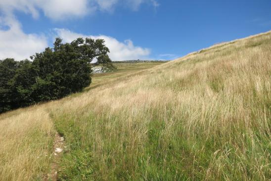 Sur le rebord E du plateau d'Ambel