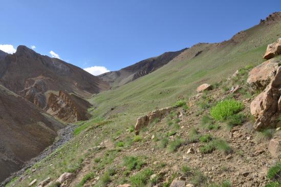 Descente du Pandang La sur Yarinchun