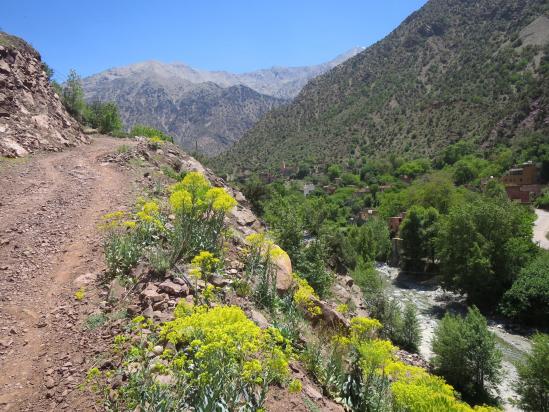 Sur la piste à Imi n'Tadert au-dessus de l'Ourika