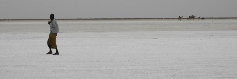 Sur les rives du lac Assal du côté d'Hamed Ila