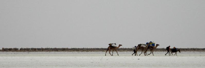 Sur le lac Assal à Hamed Ila