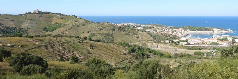 Sur l'itinéraire de retour à Collioure du côté du coll de Mollo, Port-Vendres et le fort St Elme