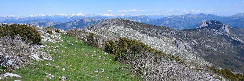 Sur la crête de Berbené (au fond, le sommet de Pré Chauvin et les Cadières de Brandis)