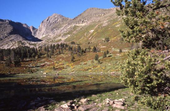 Le plateau des Cortalets (au fond le Canigou)