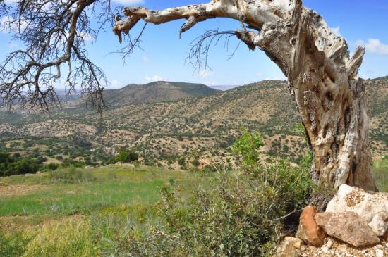 La belle campagne du côté de Grahi au printemps