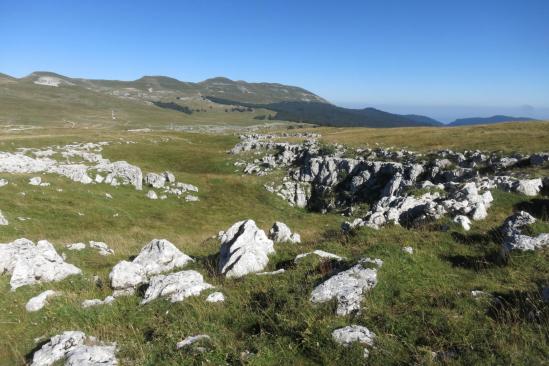 Pendant la traversée du plateau karstique de Font d'Urle