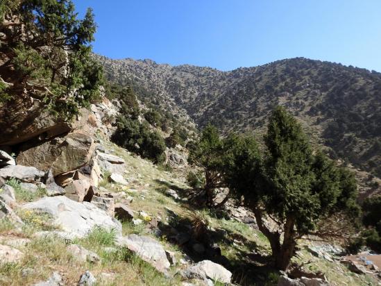 Le but de la rando de l'après-midi : l'azib à l'entrée des gorges du Zat avec suffisamment de recul pour disposer d'une belle vue sur la crête du tizi n'Tilst