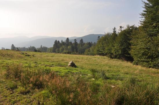 Les chaumes du côté du Markstein