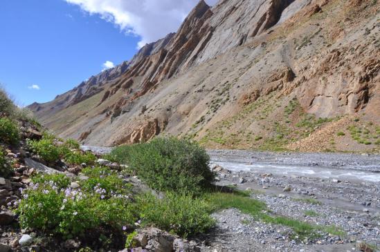 Vallée de la Niri Chu (Shade Pullu)