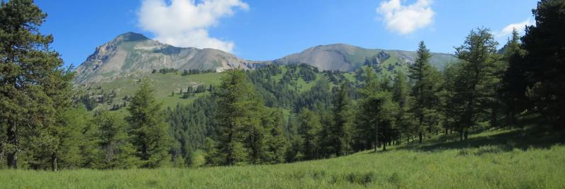 Au col du Vallon de l'Aup (Tête de Garnesier et Tête des Ormans)