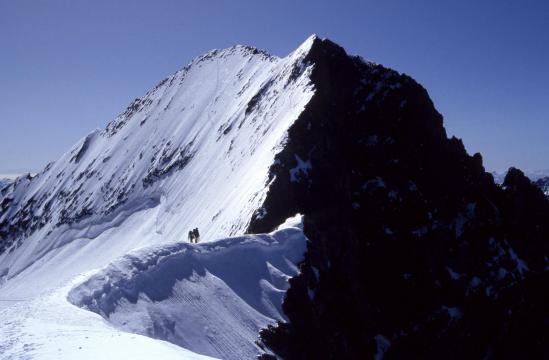 La Barre des Ecrins vue depuis la brèche Lory