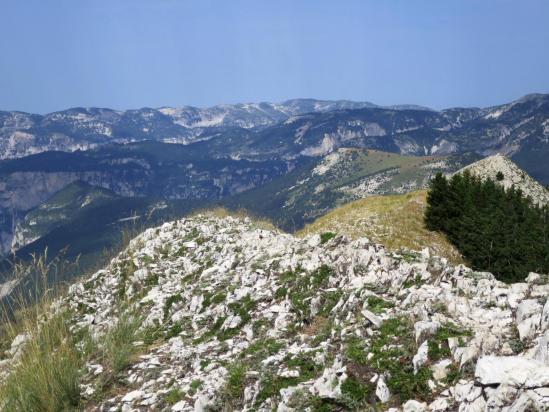 Le vallon de Combau vu depuis le sommet du Mont Barral