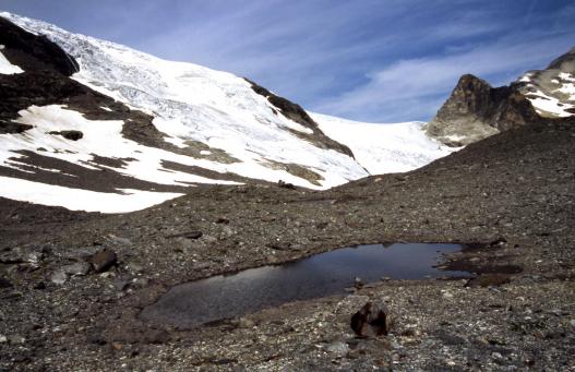 Le glacier du Pelve vu depuis les lacs de Chasseforêt