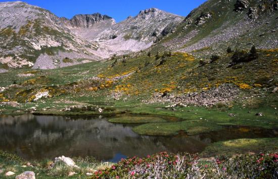 Le plateau lacuste au pied du Canigou