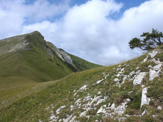 Au niveau du mamelon 1743, vue arrière sur l'épaule NE de La Toussière