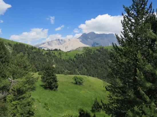 A l'approche du col du Bachasson, la montagne d'Aurouze occupe l'horizon