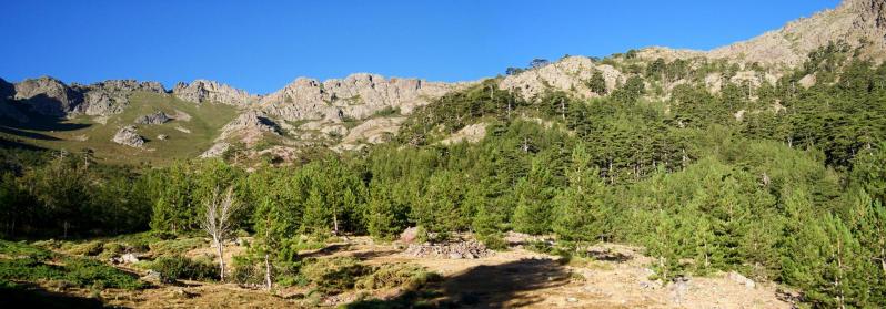 Dans la forêt de Tartagine Méléja