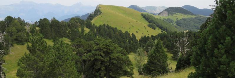 Vue arrière sur la Tête de Praorzel