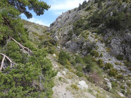 Dans la descente vers les Bondils, on longe le ravin de la Grave
