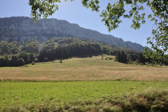 Dans la vallée de Rencurel