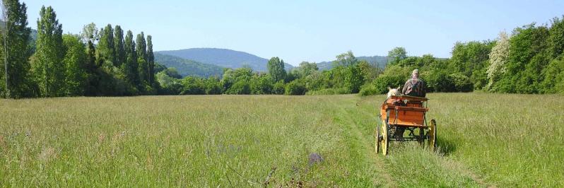 Entre Port Lesney et Rennes-sur-Loue