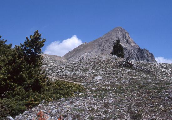 L'aiguille Rouge vue depuis le col des Thures