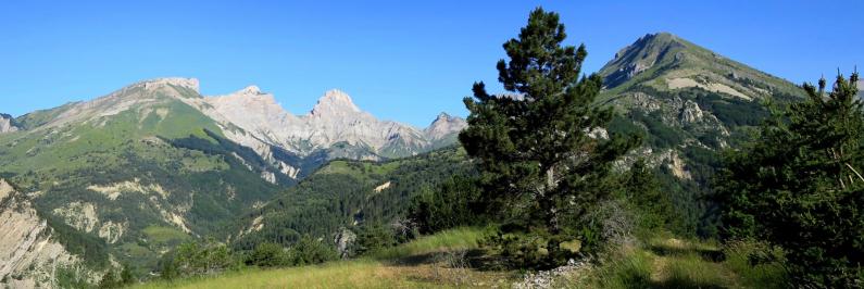 Au serre du Lièvre (Têtes des Ormans et de Garnesier, Roc de Garnesier et Le Chauvet