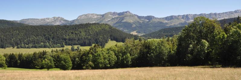 Le panorama sur les remparts E du Vercors depuis Haut Méaudret