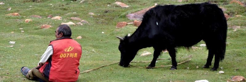 Skyinling : Zorro avait bien un compagnon, alors pourquoi pas lui...