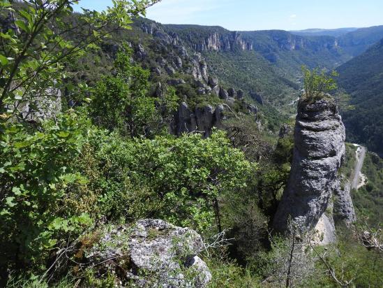 Au-dessus des gorges de la Jonte